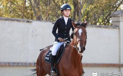 男女啪啪做爰高潮WWW